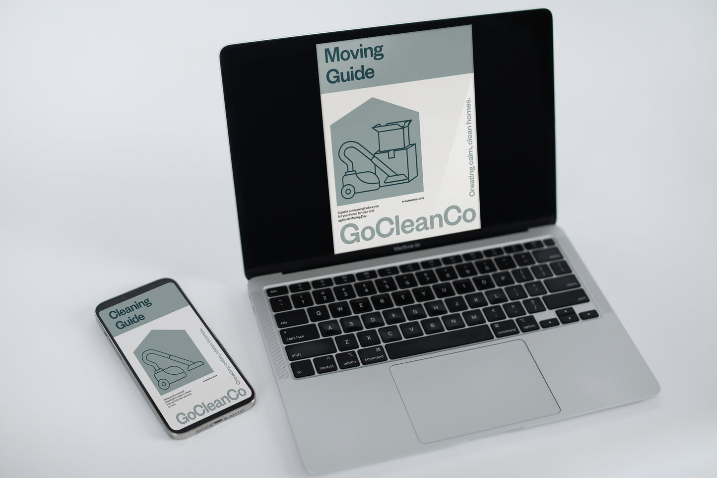 Cleaning + Moving Guide Bundle