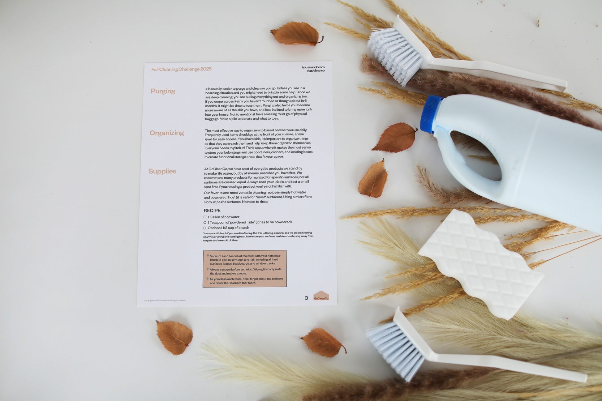 A high-angle shot of page 3 of a "Fall Cleaning Challenge 2025", which includes sections on "Purging" and "Organizing" and a recipe for a cleaning solution.